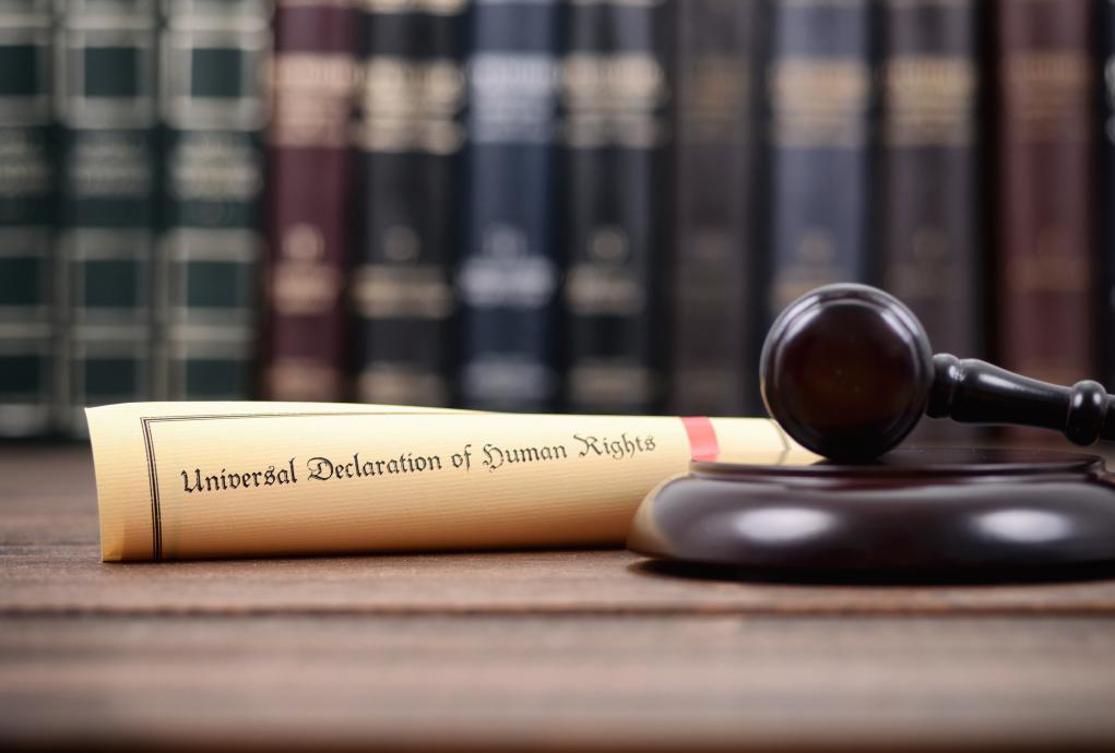 What Is the Universal Declaration of Human Rights?