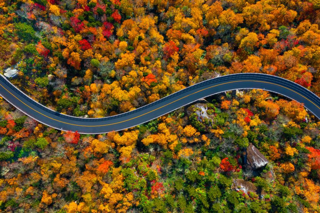 Explore America on These Top 5 Scenic Roadways