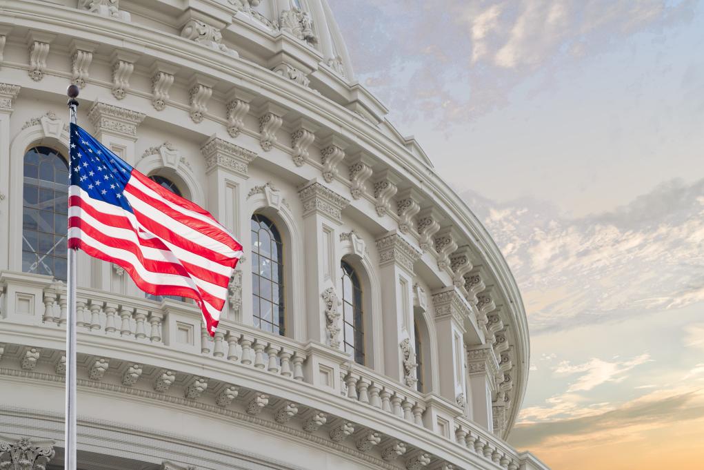 What Are the Checks and Balances in the US Government